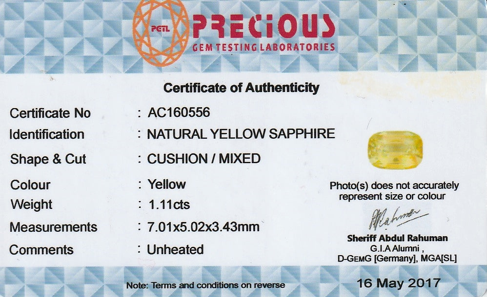 Saphir Allongé Taillé Coussin Jaune Verdâtre Non Chauffé 1,11 ct